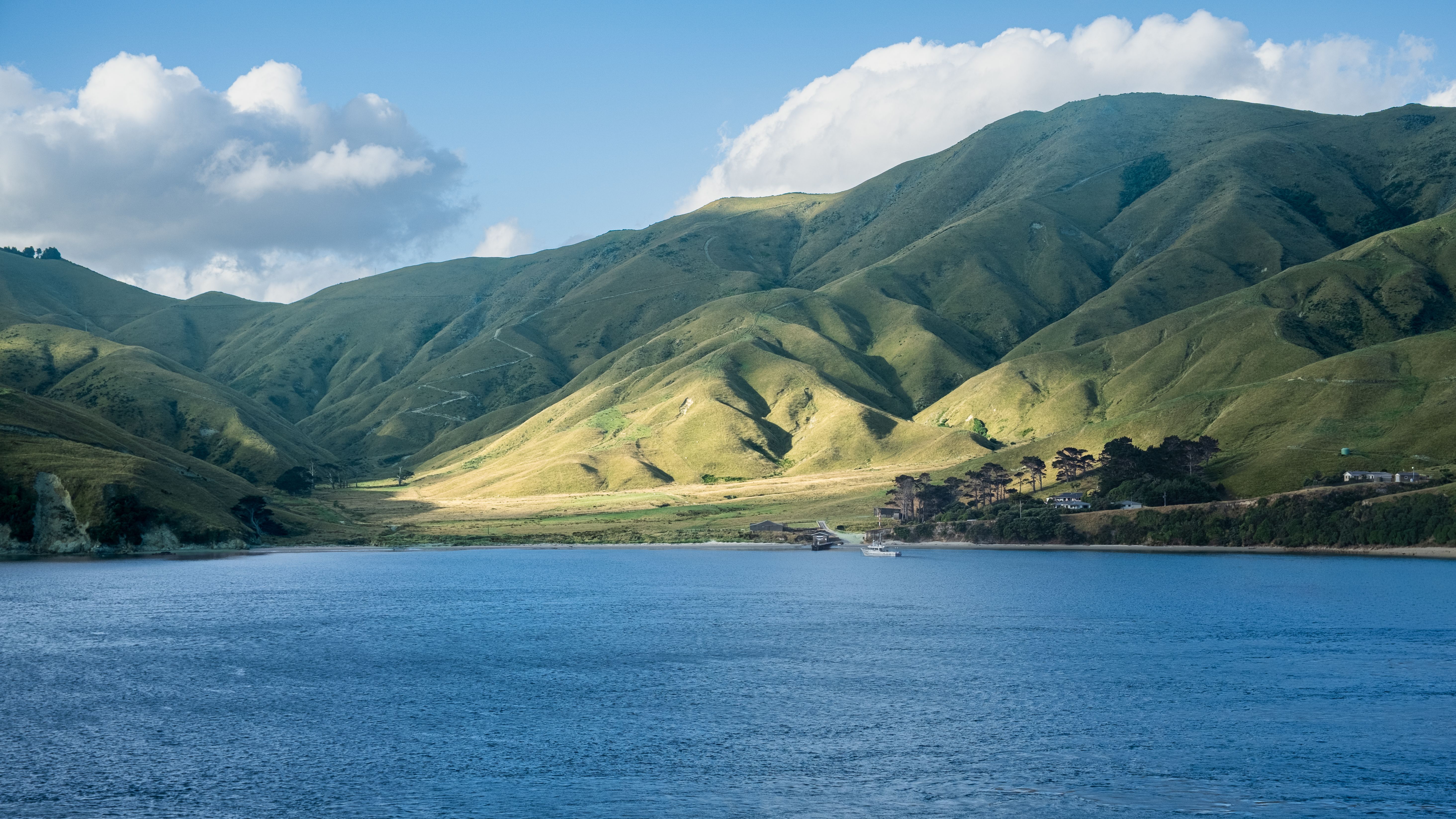 Beautiful landscape of green hills and calm sea in Picton, New Zealand.