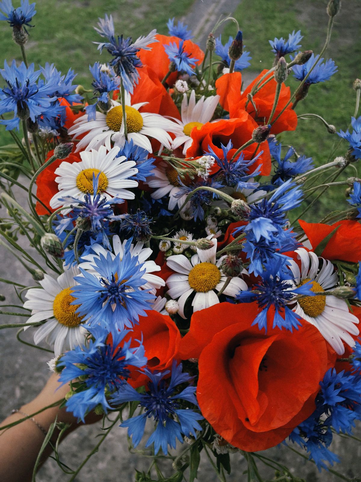 Wildflower Story