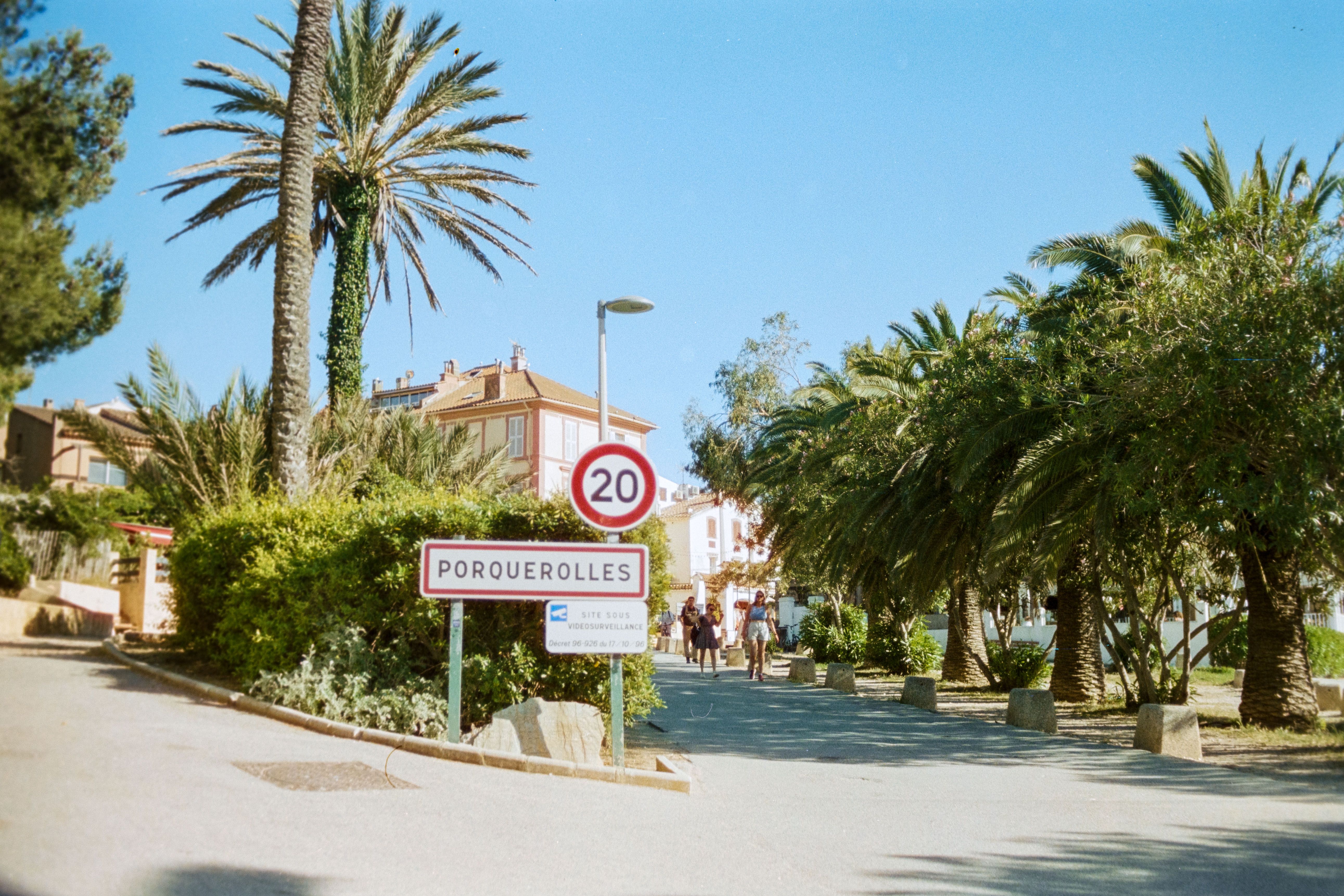 Charming street view in Porquerolles, France, featuring palm trees and a 20 speed limit sign under a clear sky.