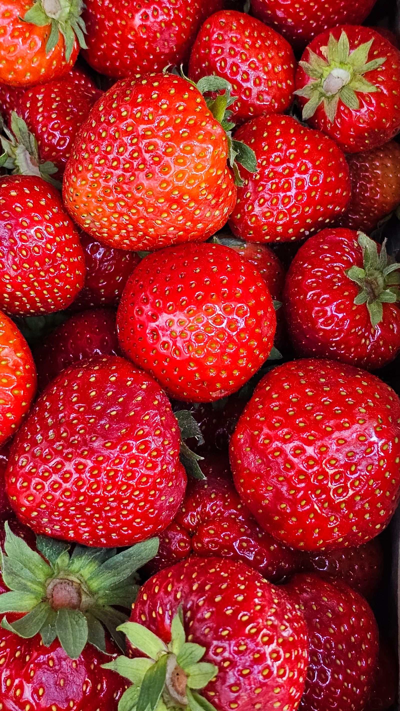 Close Up Photo of Strawberries · Free Stock Photo