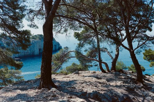 Beautiful coastal landscape in Calanques National Park, France, showcasing rocky cliffs and pine trees.