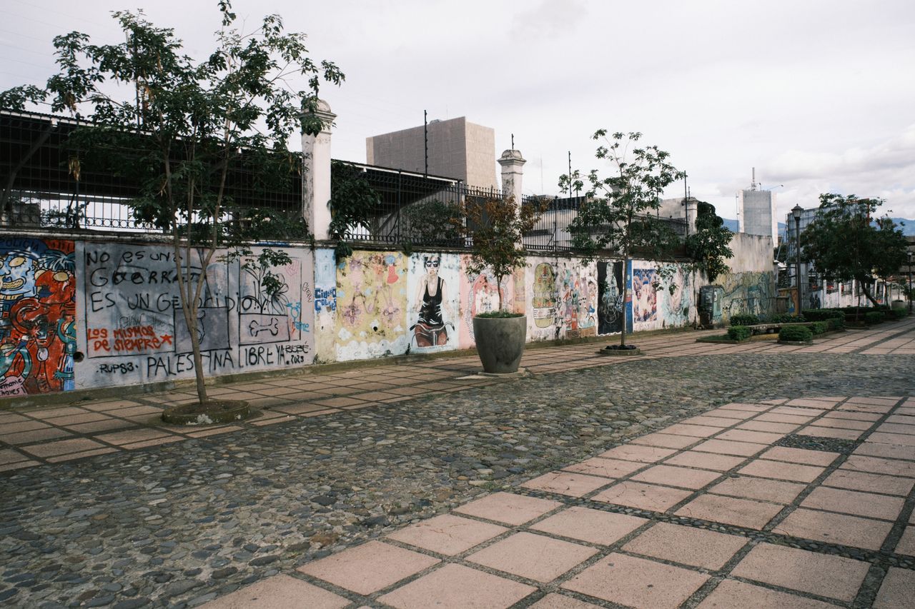 colorful graffiti and trees line a street in san jos costa rica
