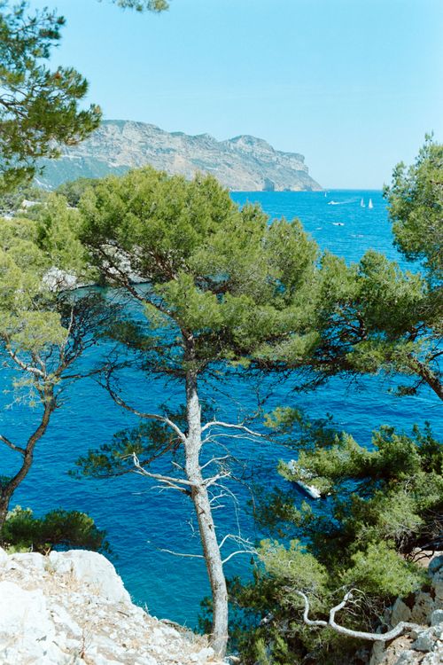 Free Beautiful coastal view of Mediterranean sea framed by trees in Cassis, France Stock Photo