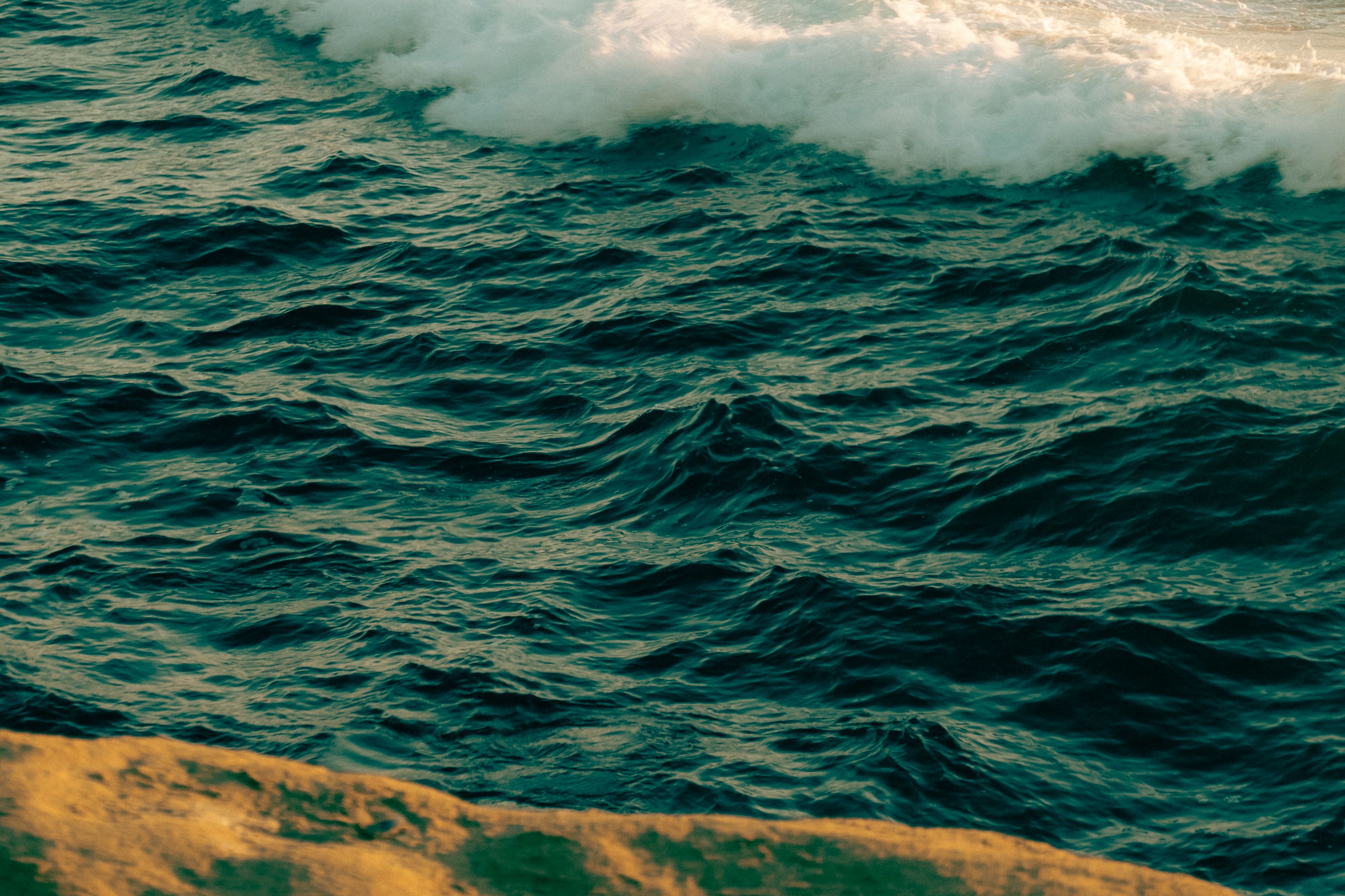 Sudden sea level rise — tied to El Niño — is about to hit the California coast — Photo by Harshit Mehta on Pexels