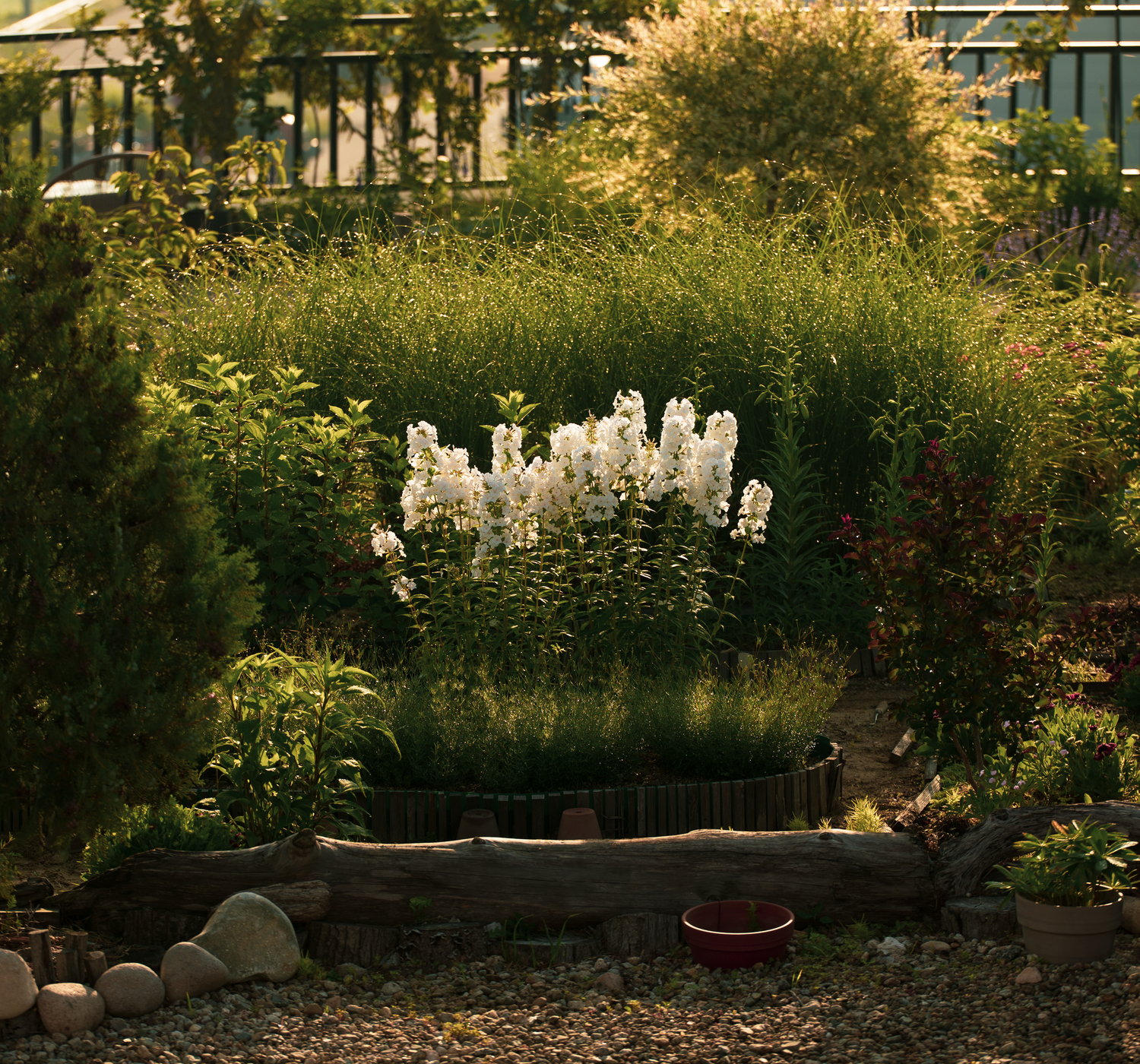 A tranquil garden scene showcasing vibrant summer blooms and lush greenery.
