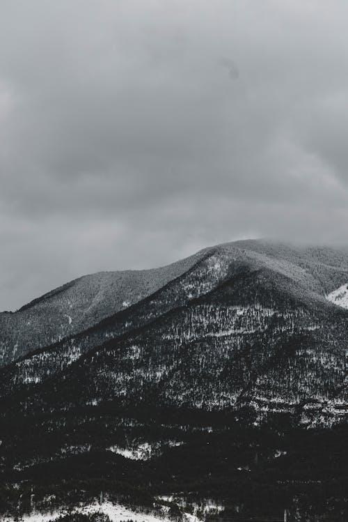 灰色の空の下の黒と白の山