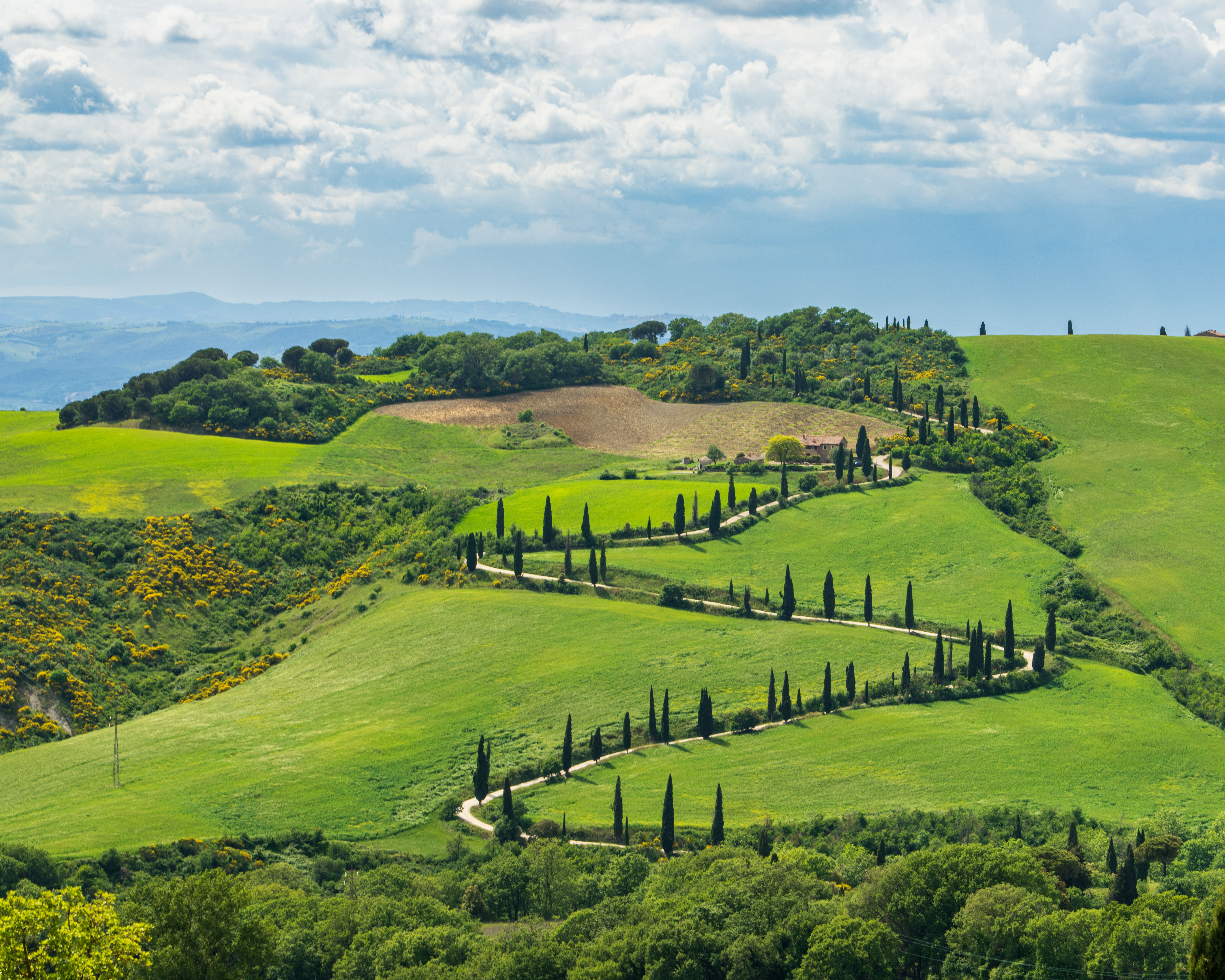 Breathtaking view of Chianciano Terme's rolling hills and cypress trees in Tuscany, Italy.
