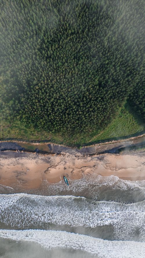 Free Stunning aerial view of a lush forest, sandy beach, and ocean waves crashing ashore. Stock Photo