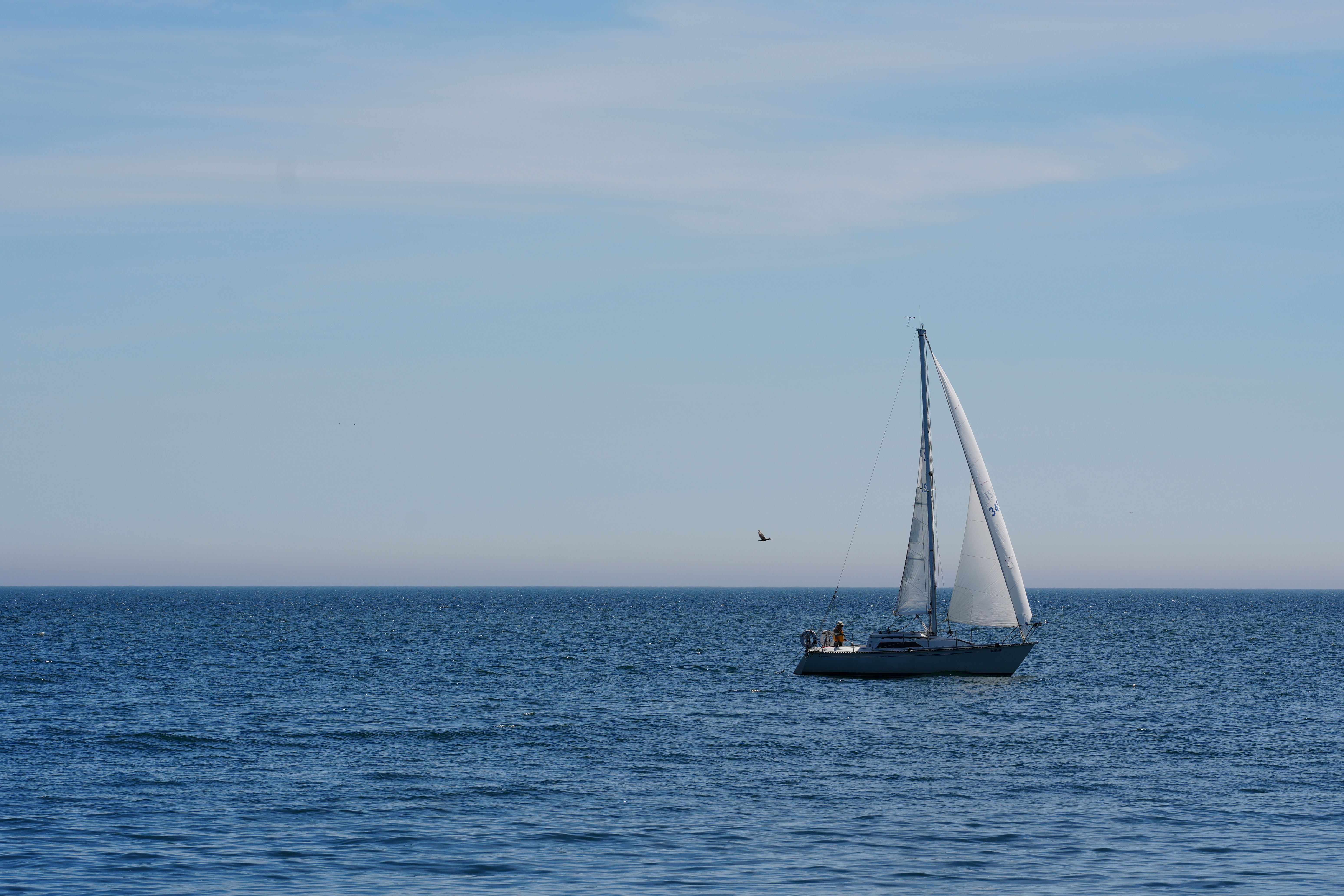 Segelboot auf ruhigem deutschen See