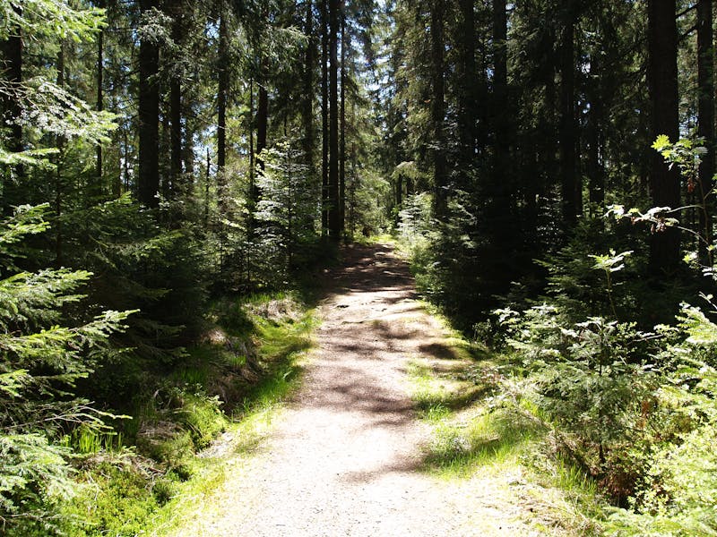 Inspecție conductă de presiune