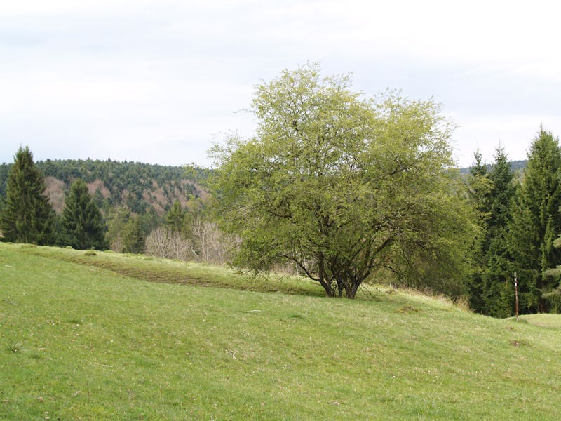 Control de parámetros de presión
