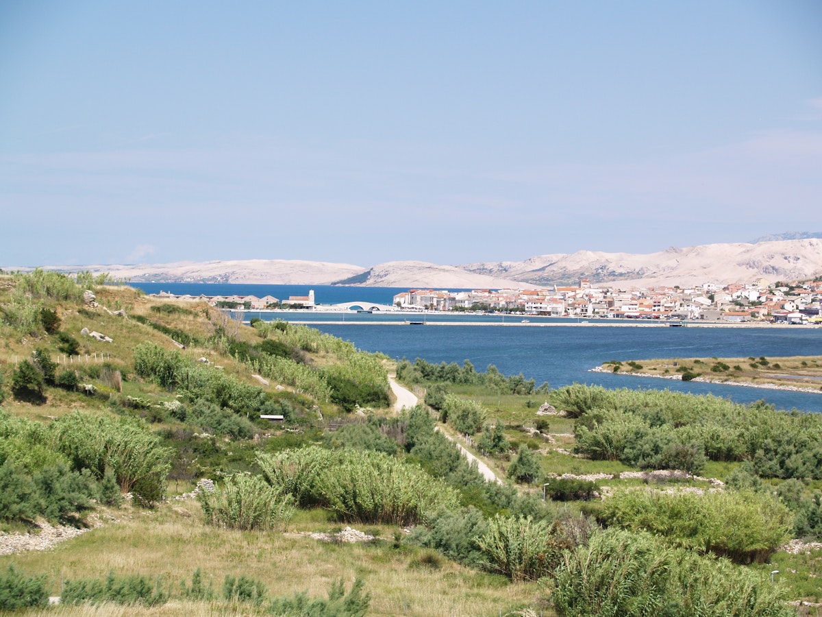 Technician detailing a car interior