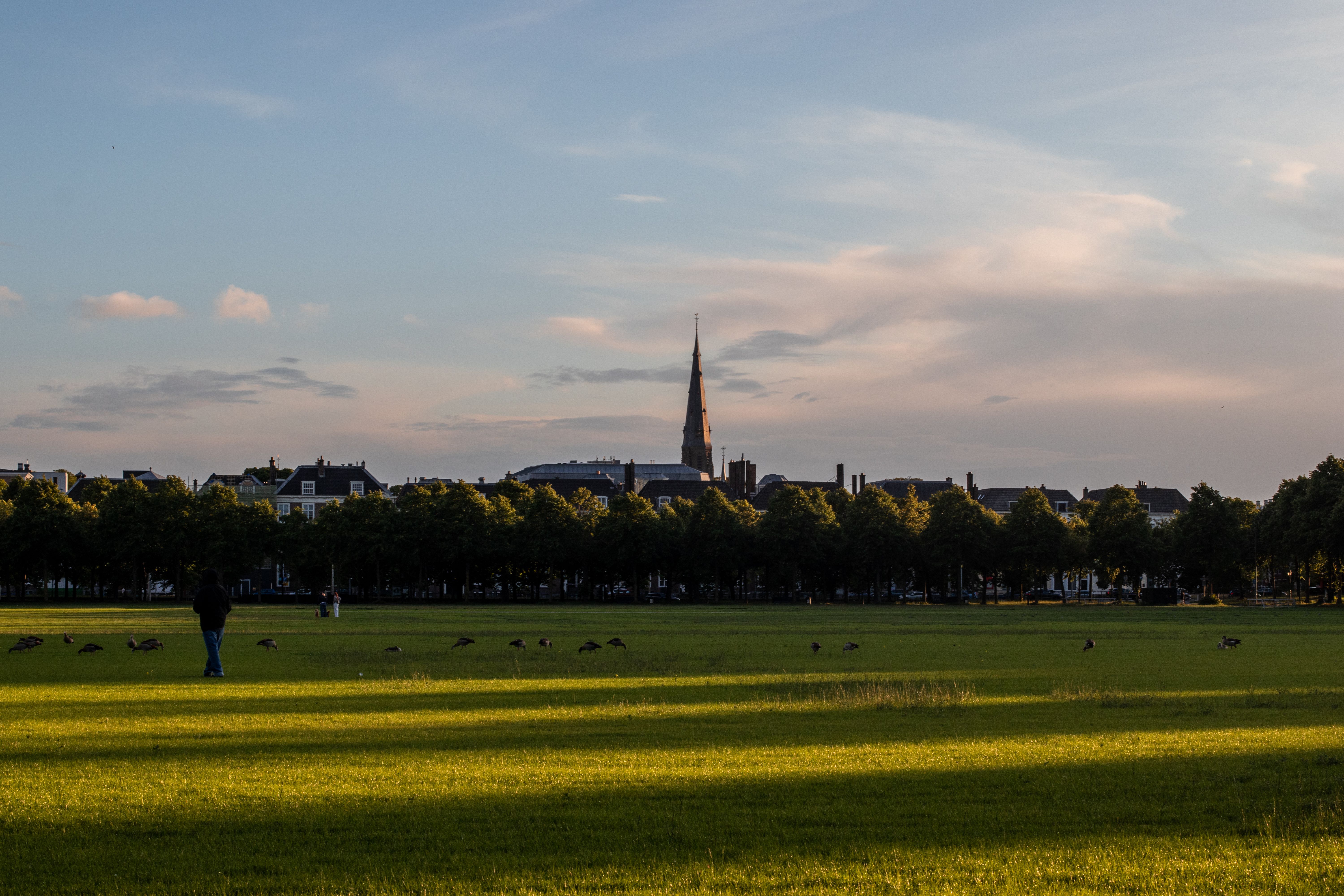 The Hague