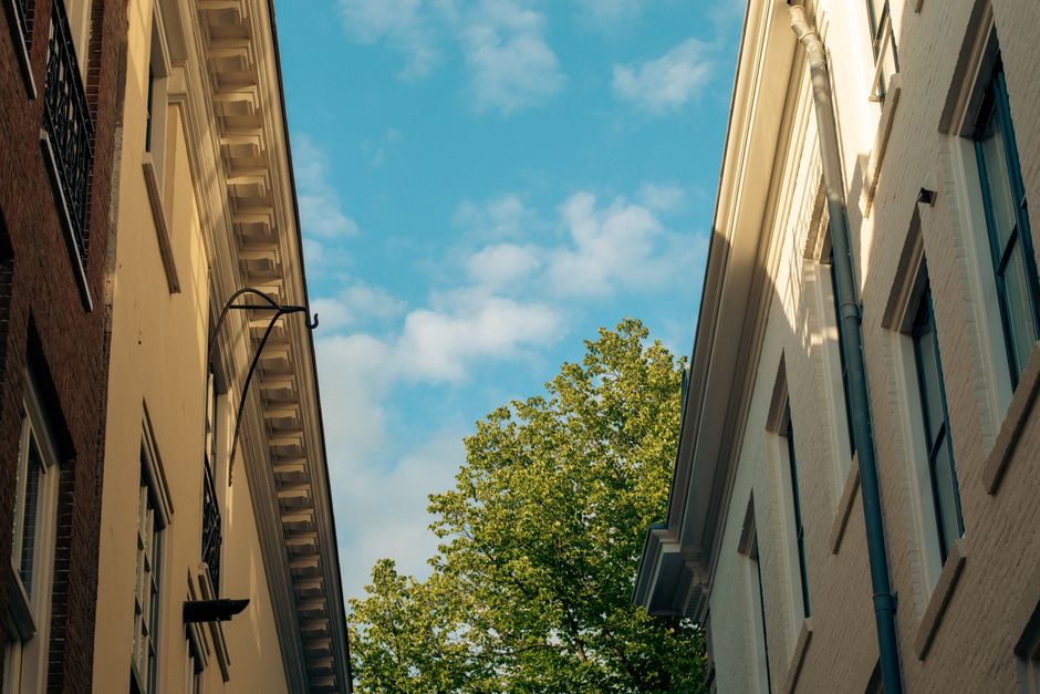 Best Gutter Cleaning & Installation in Garland, TX (2026)