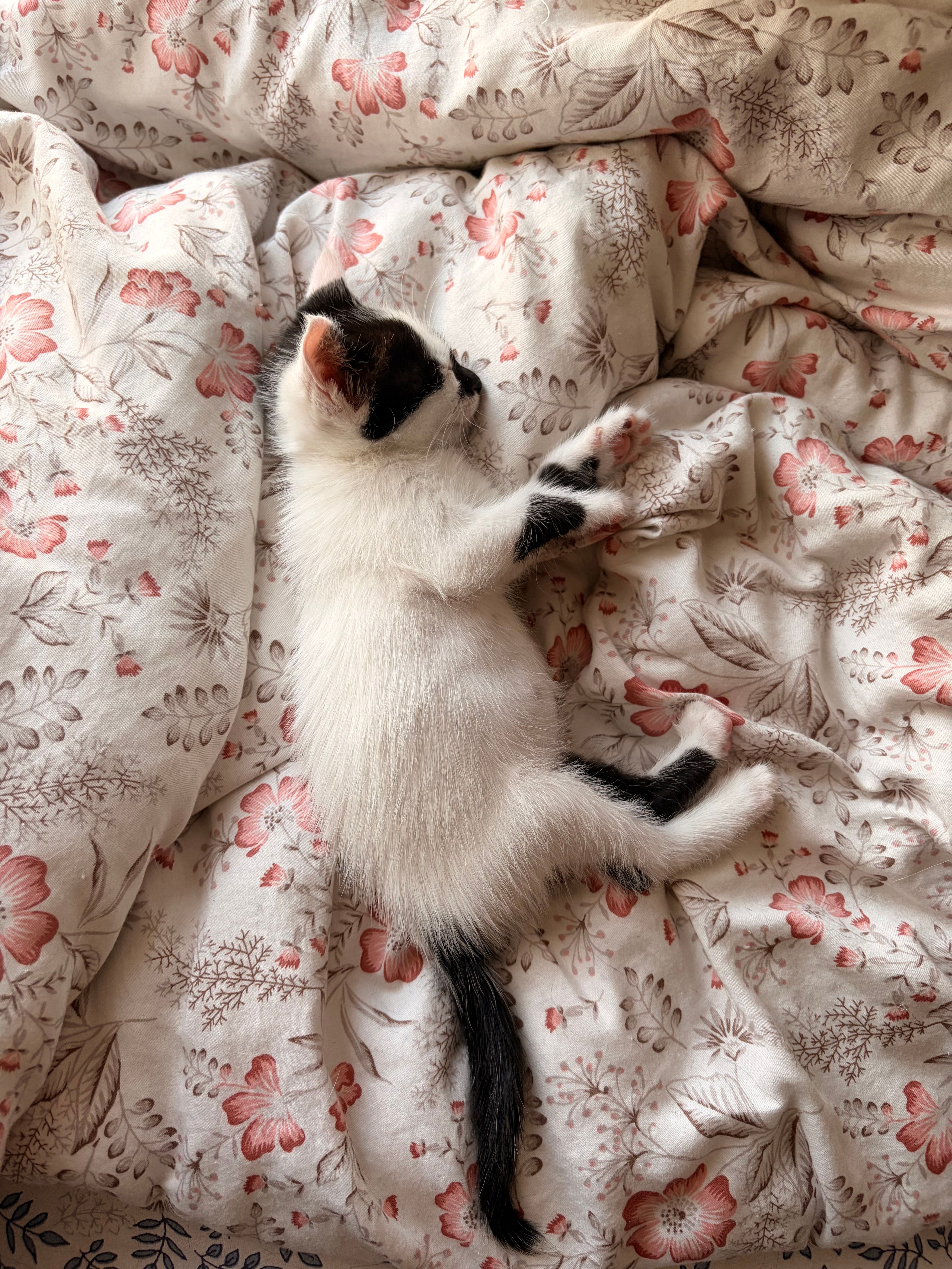 A gentle Q&A about toddler sleep routines