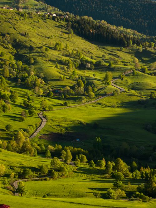 Free Scenic aerial view of a lush green landscape in Artvin, Türkiye, featuring winding paths and rolling hills. Stock Photo