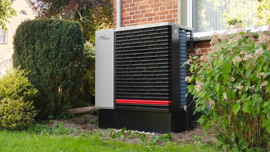 Safe, Natural Pest Control for Your Garden
