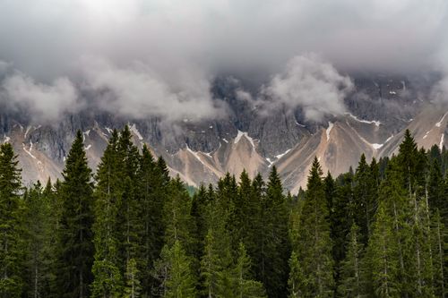 Free Stunning view of the Dolomites shrouded in clouds with a dense evergreen forest in the foreground. Stock Photo