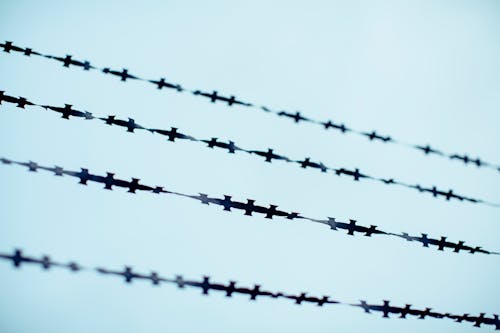 Photo of Barbed Wires