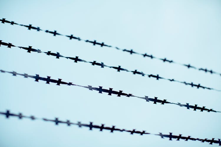 Photo Of Barbed Wires