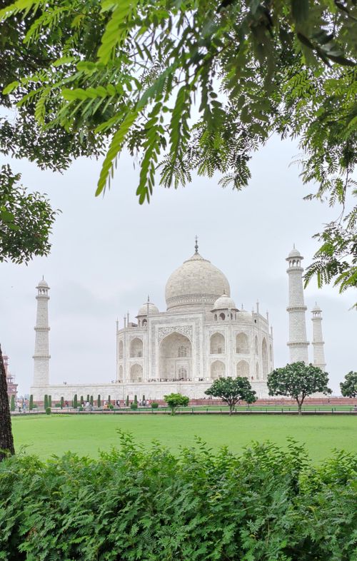 Free The iconic Taj Mahal marvelously framed by vibrant greenery and set against a serene sky in Agra, India. Stock Photo