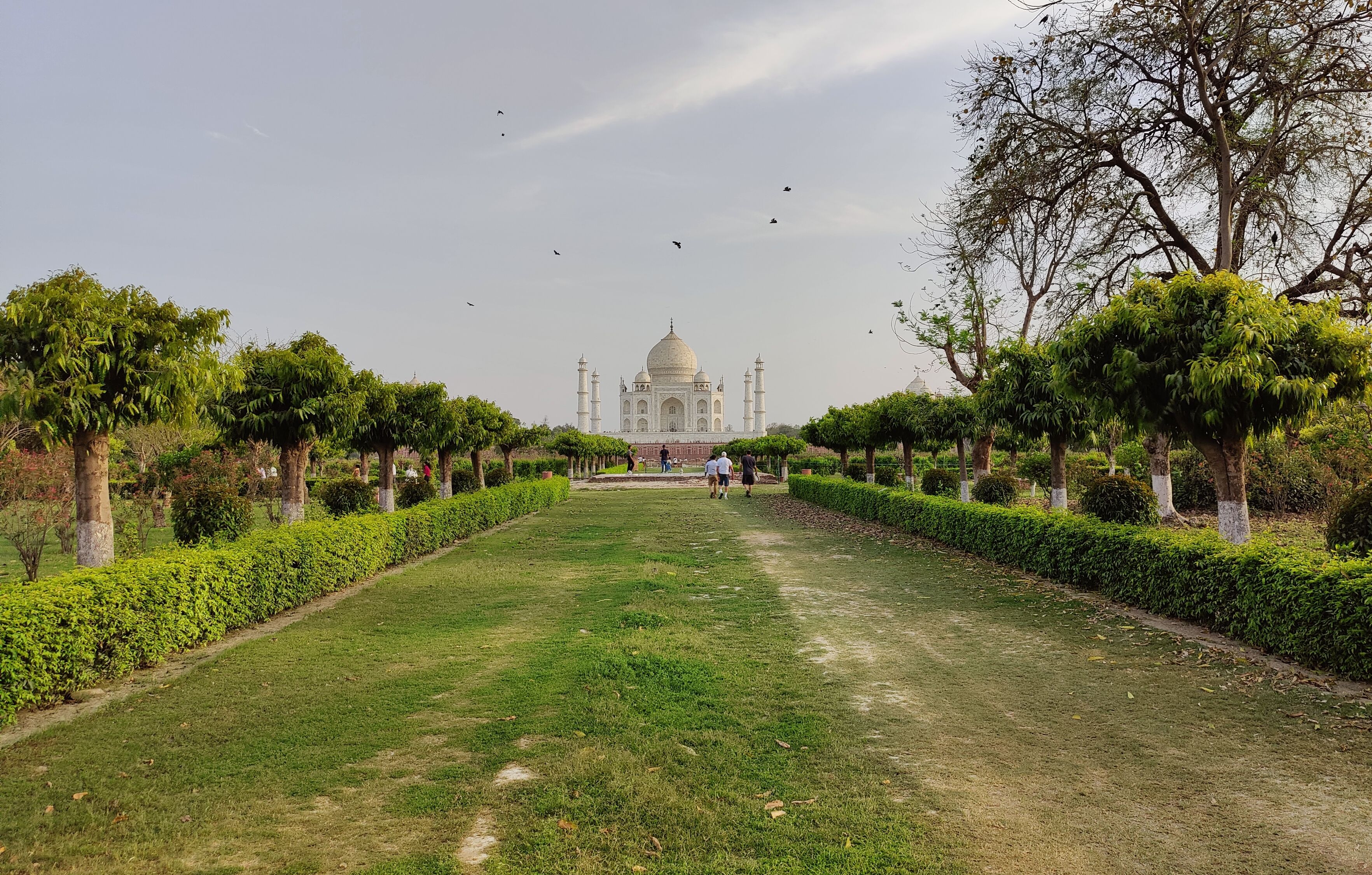 taj mahal garden pathway minaret reflection pool