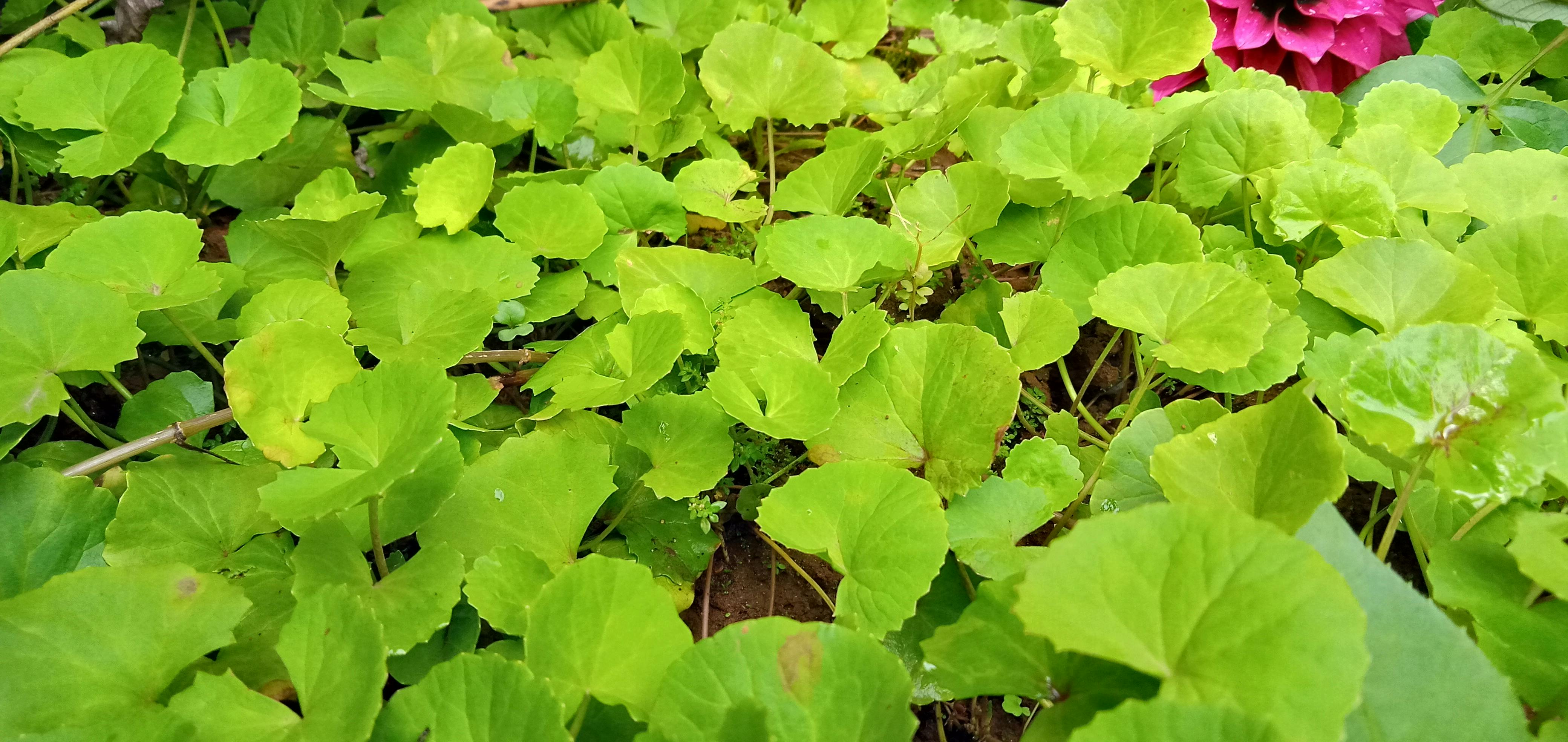 청약 서류와 아파트 단지