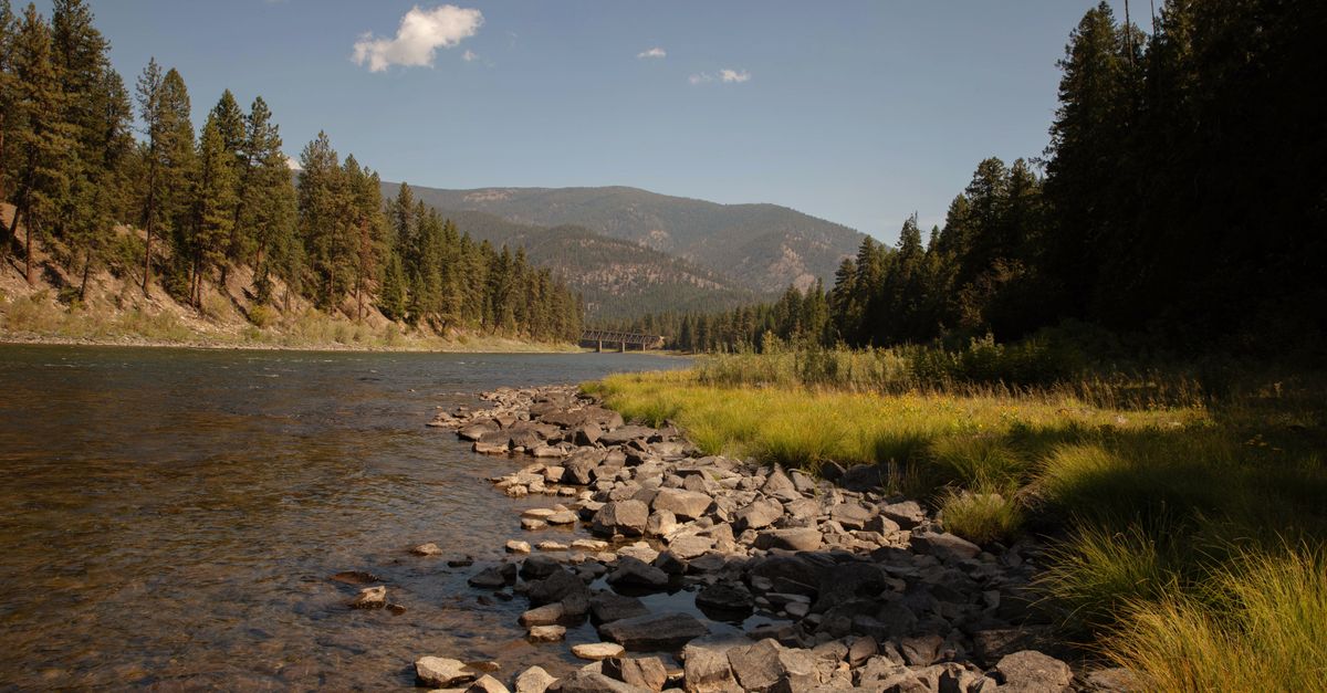 A beautiful view of a river and forest in Saint Regis, Montana, showcasing natural serenity.