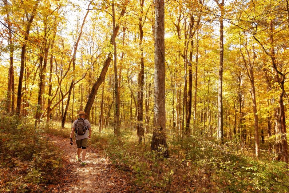 Plan a state-park outing things to do in mt juliet tn