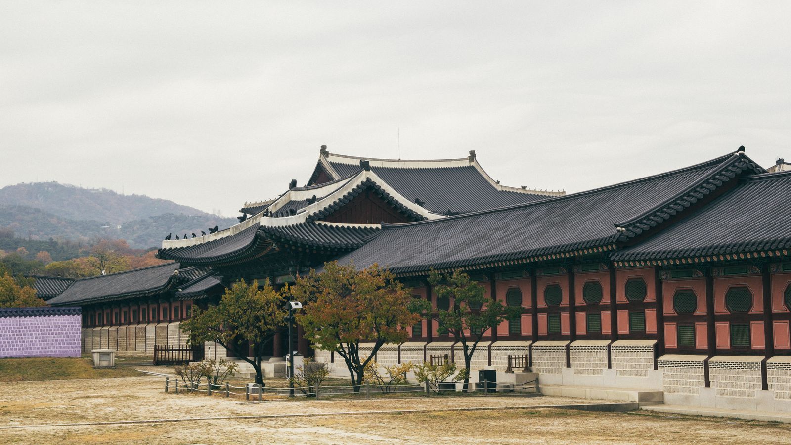 makgeolli soju culture korea selatan