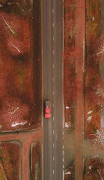 一辆红色汽车行驶在一条被秋天植被包围的乡村道路上，这是自上而下的视角