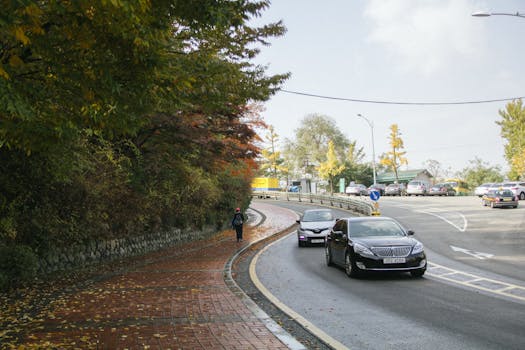 Cars driving on a curved road surrounded by autumn trees, a pedestrian walking along the sidewalk.