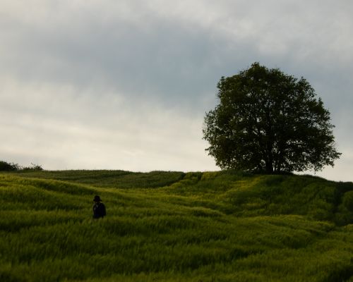 Free A lone figure walks through a vast green field under a cloudy sky in İstanbul, Türkiye. Stock Photo