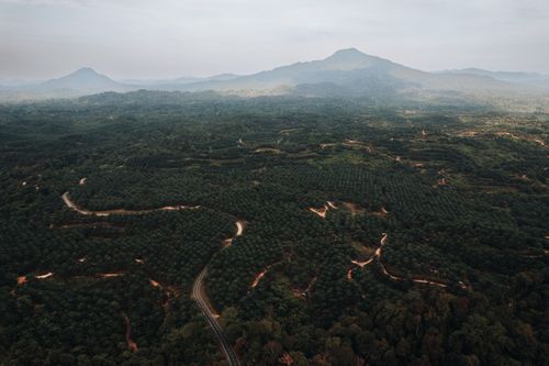 Free A panoramic aerial view of a lush green forest landscape with distant mountain ranges under a cloudy sky. Stock Photo