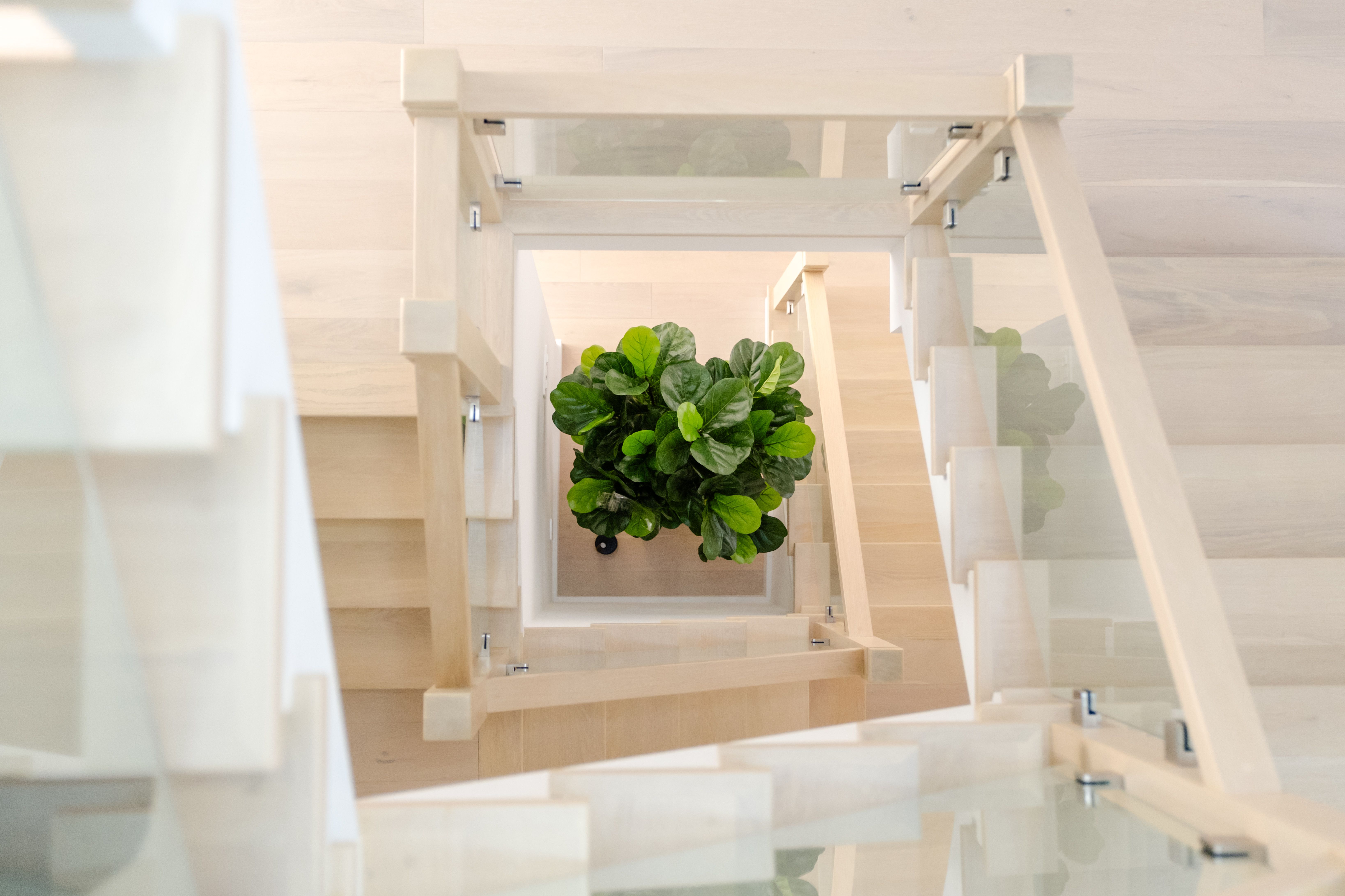 Bampton — professional movers carrying furniture on a house move