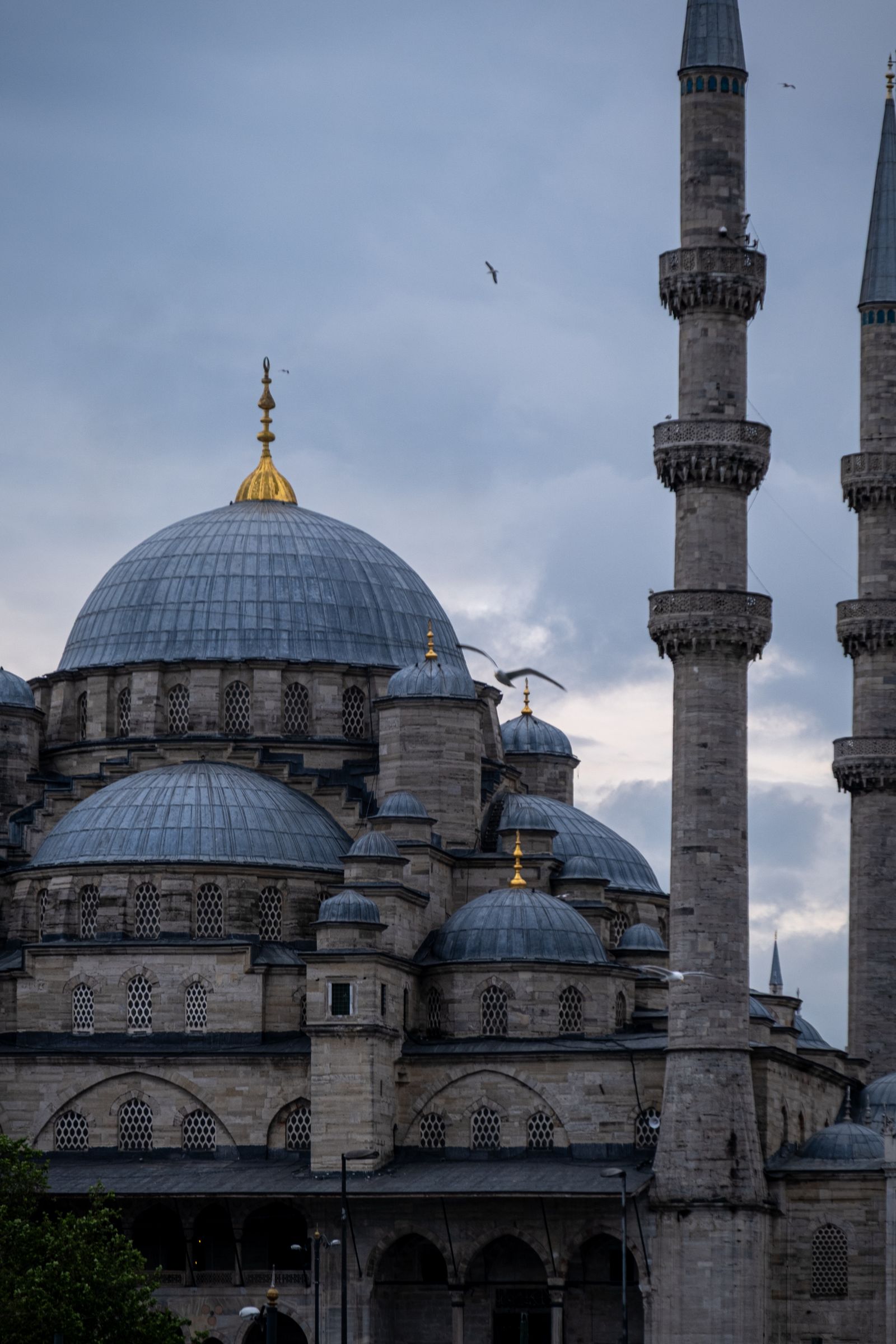 Majestic view of iconic Blue Mosque in Istanbul with detailed architecture under a cloudy sky.