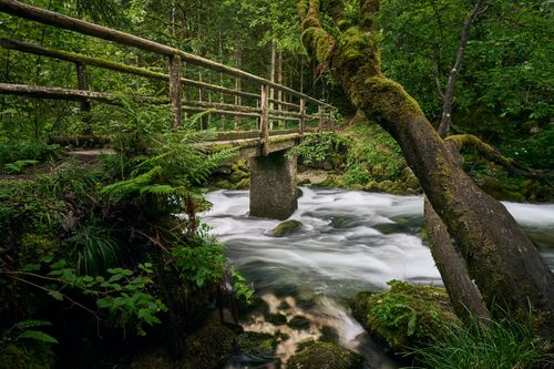 Free A serene wooden bridge in a lush forest over a flowing stream in Golling an der Salzach, Austria. Stock Photo