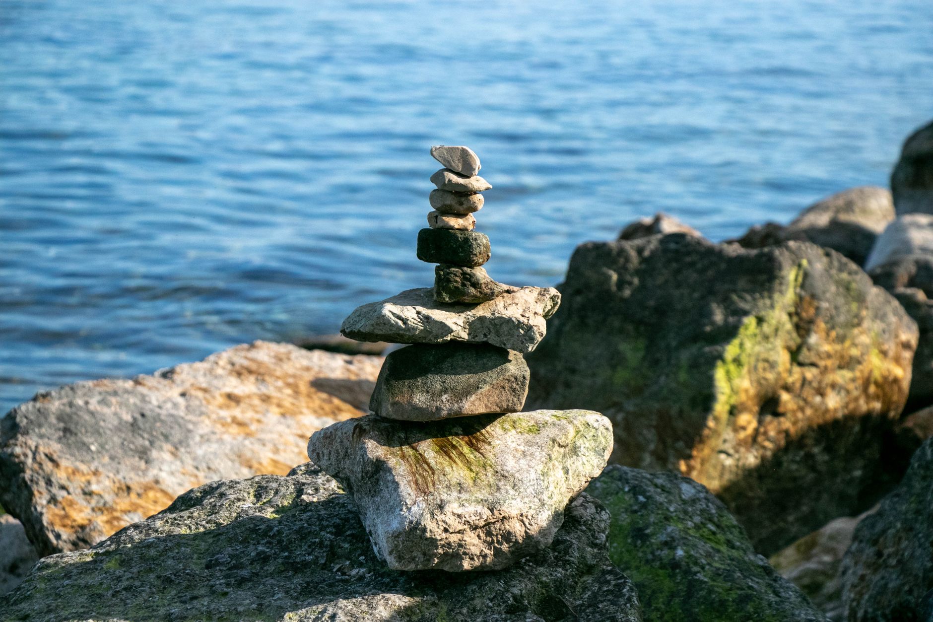 How to Build Consistent Habits: A Student Method