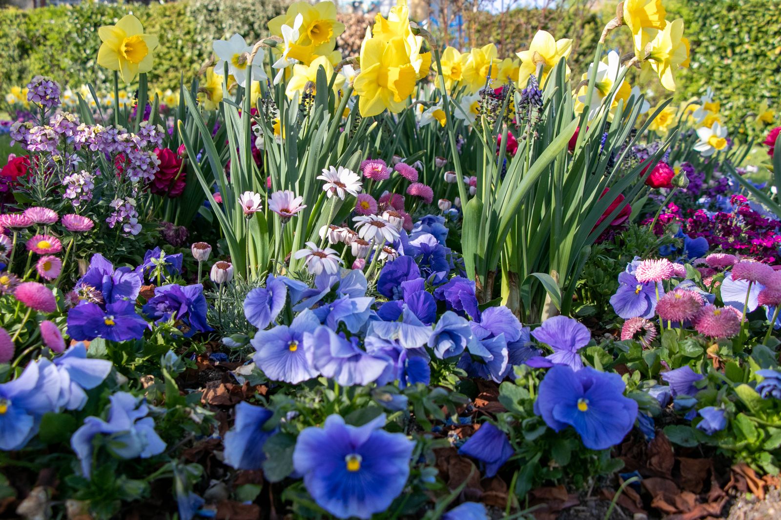 Landscaping