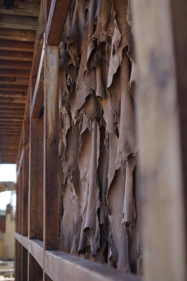 Hides drying on racks at a tannery, photo by kha Lido on Pexels