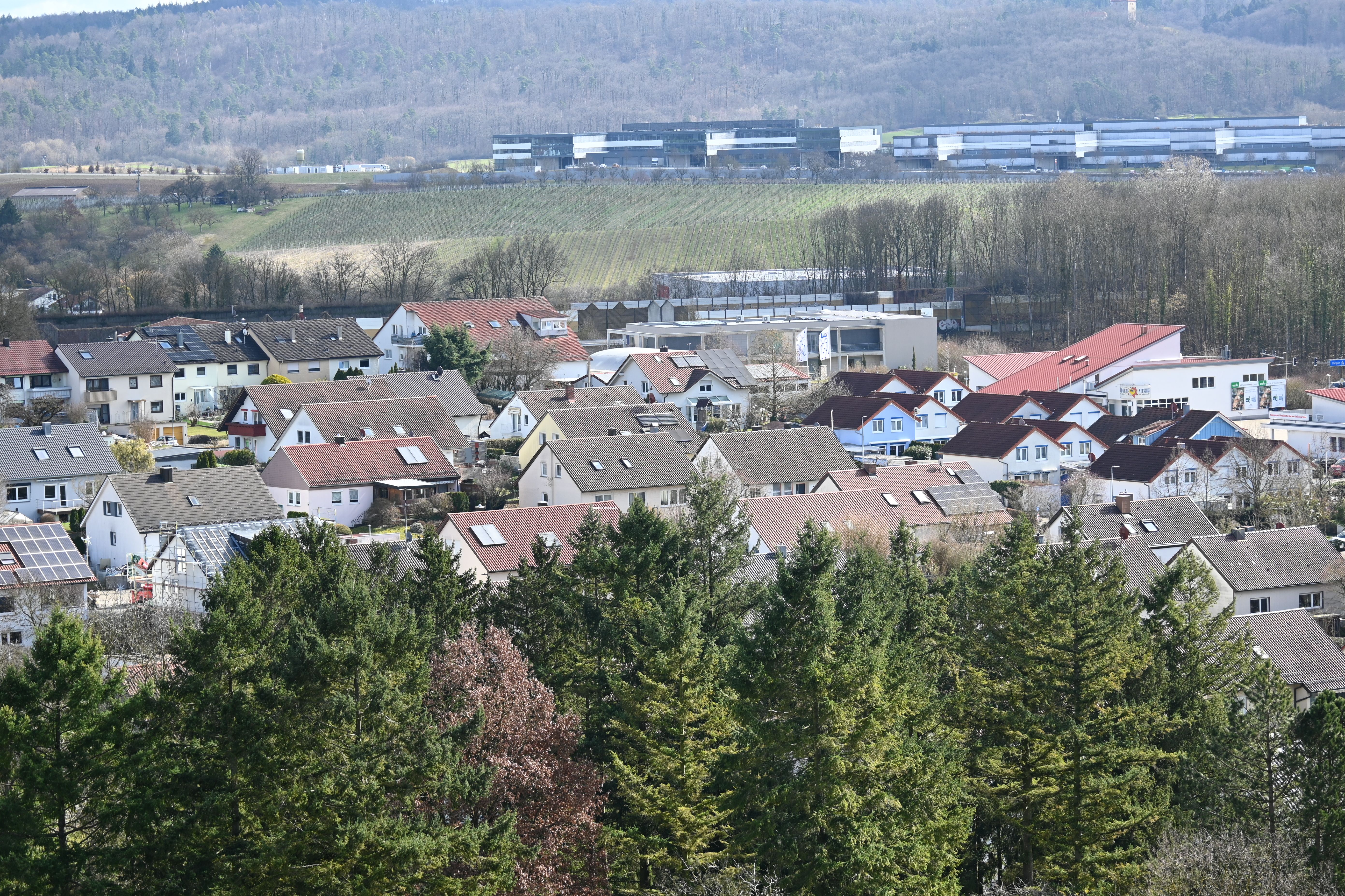 Hirnsdorf