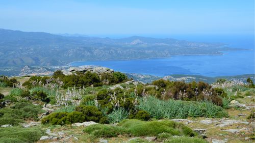 Free Stunning panoramic view overlooking the Corsican coastline and lush landscape from Bastia, France. Stock Photo