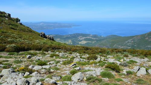 Free Expansive view of Cap Corse's rugged terrain and deep blue sea from Bastia, Corsica. Stock Photo