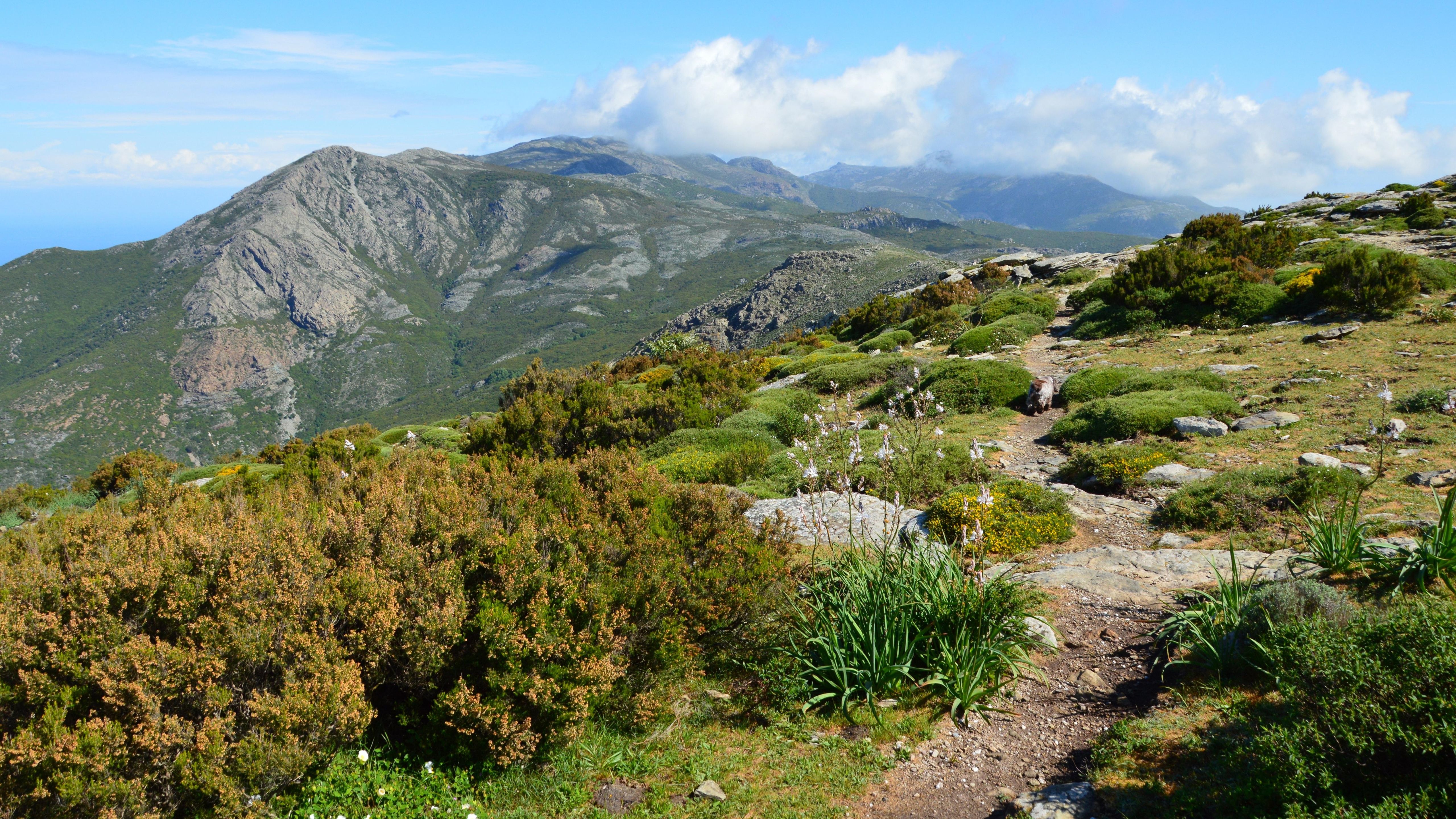 Parc Natural de la Serra Gelada