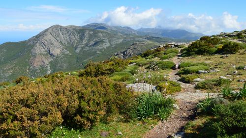 Free Beautiful mountainous landscape with a hiking trail in Bastia, Corse, France. Stock Photo
