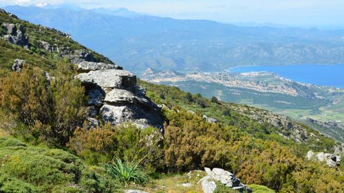 Free Breathtaking landscape of Corsica with lush hills and distant sea view. Stock Photo