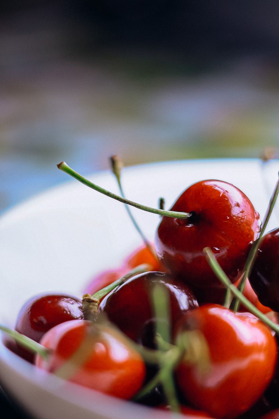 A bowl of glossy black cherries
