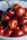 cherries