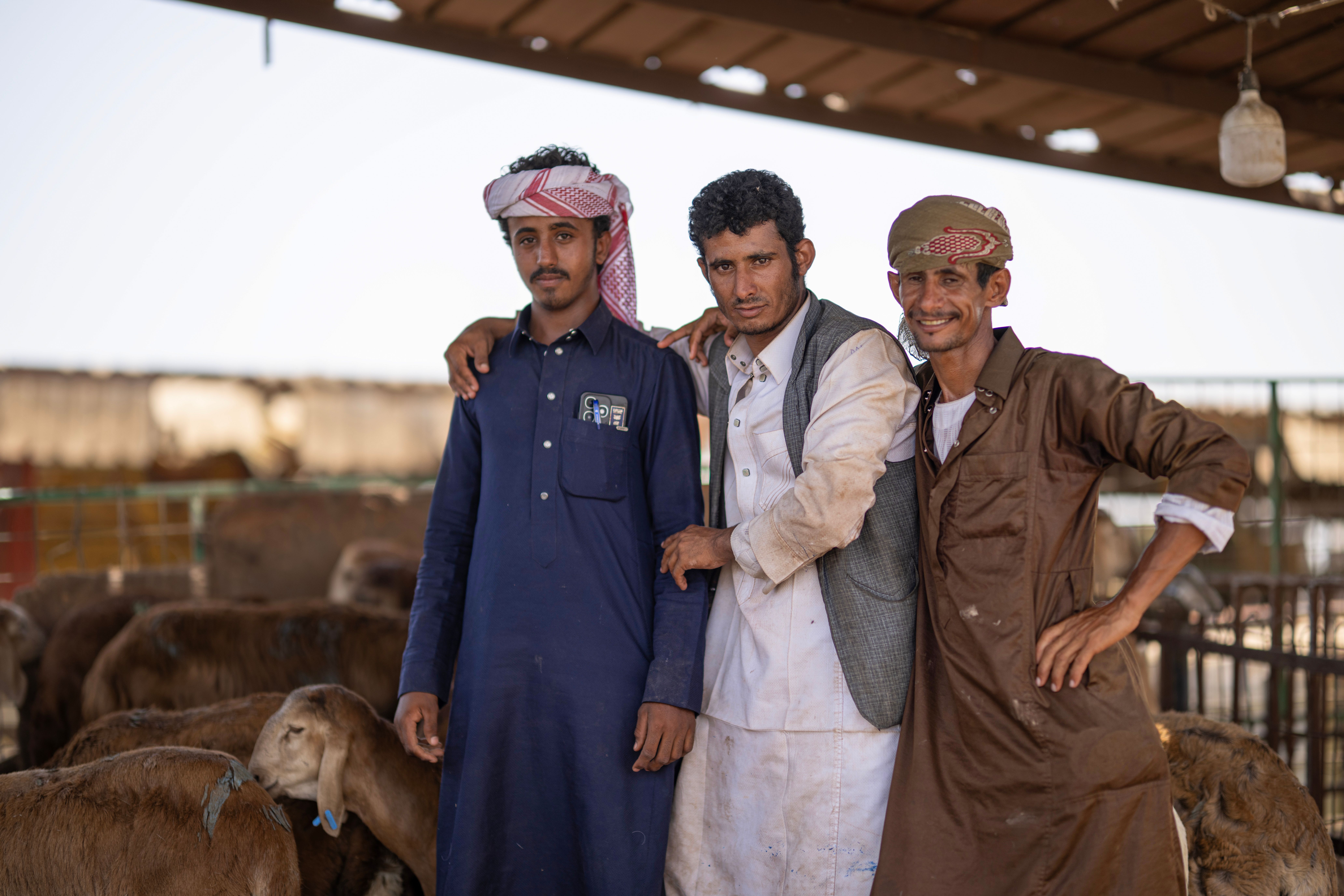 cattle farming business plan — product image