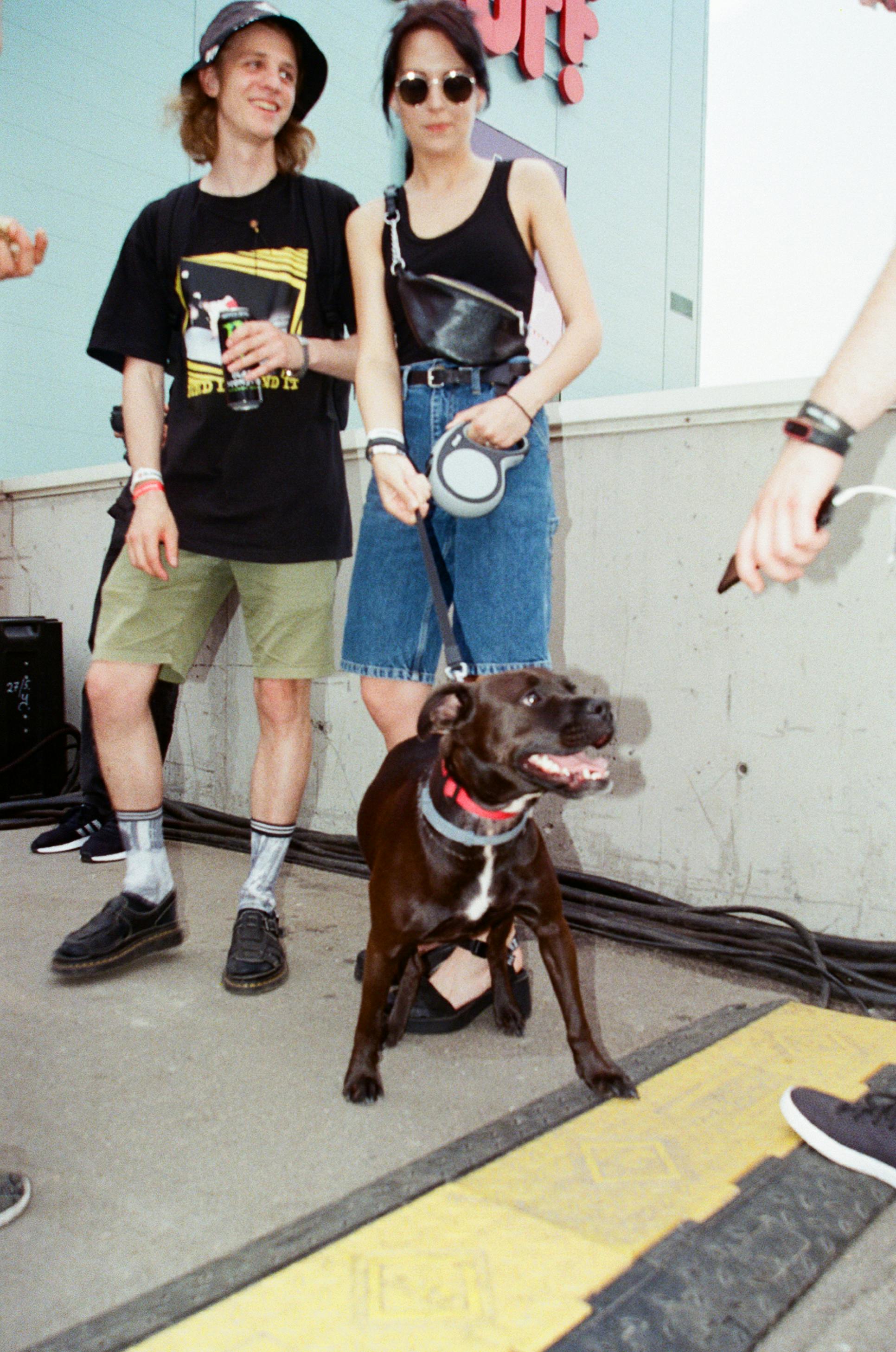 A young couple enjoying a sunny day outdoors with their playful brown and white dog on a leash.
